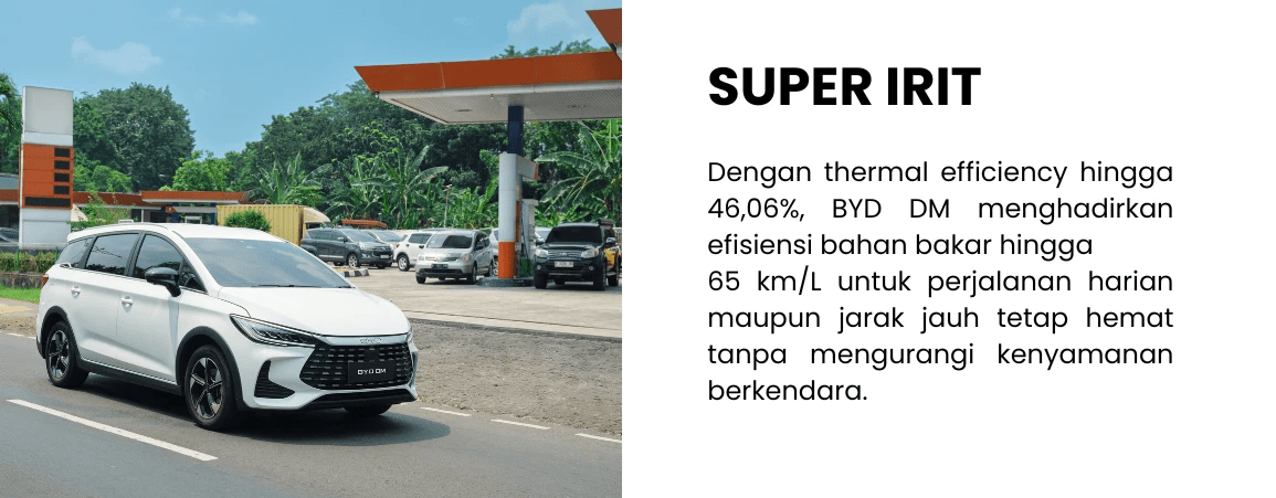 SuperIrit byd m6 pejaten